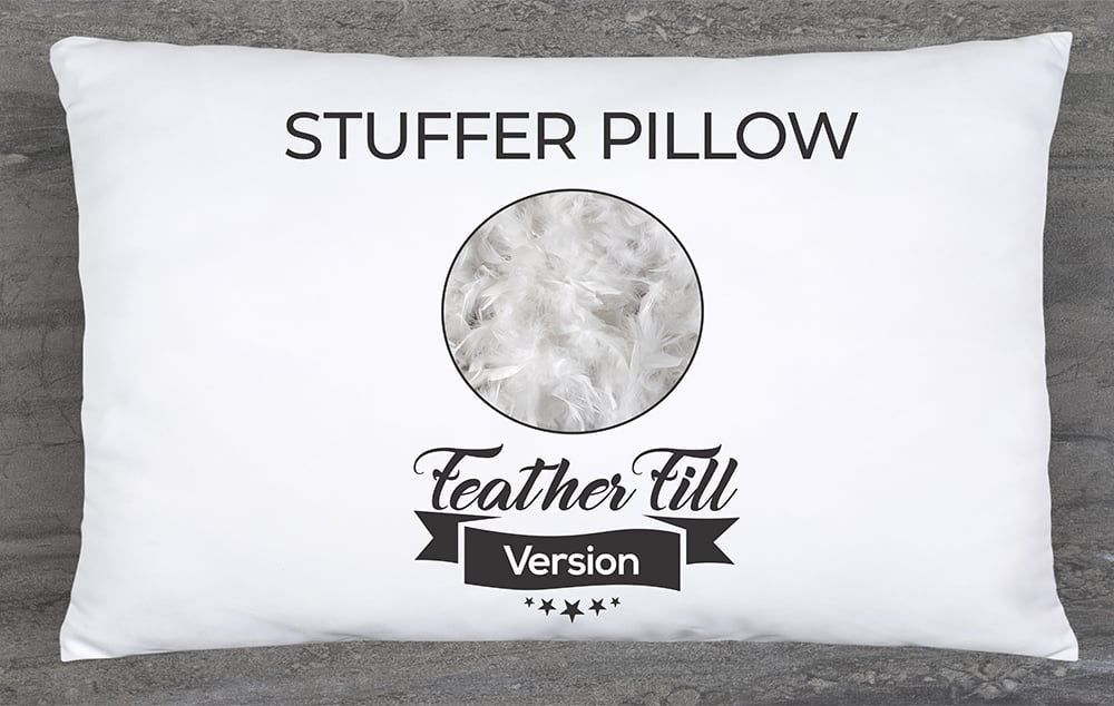 12x20 Throw Pillow - 2 PCS Luxurious Premium Pillow with Reversible Cover Microsuede/Microplush Fabric. Forever Fluffy, Outstanding Beauty & Support. Soft & Beyond Comfortable